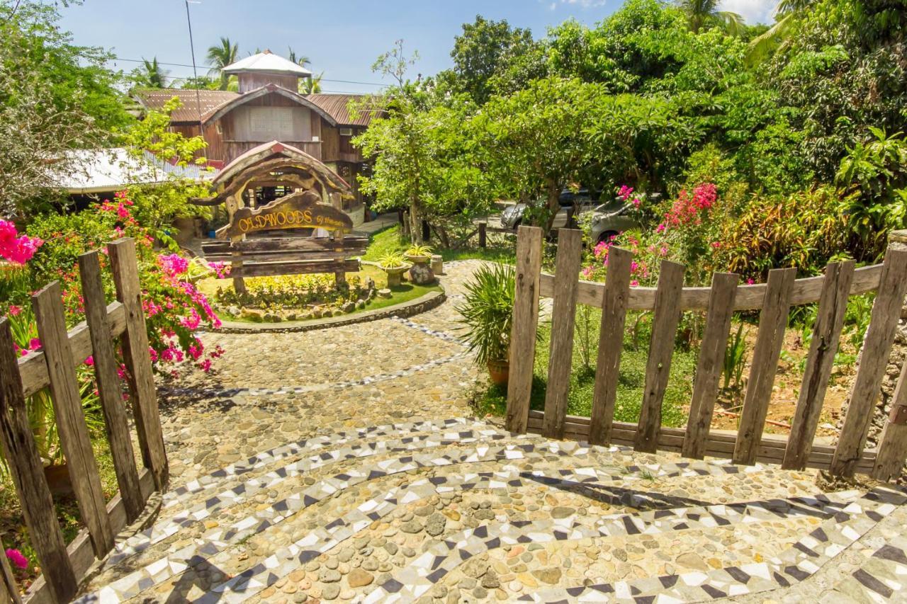 Oldwoods By The Sea Nature Resort Bani Pangasinan Екстериор снимка